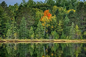 Remote Lake Fall Color - Fall Color 2025 With the Canon 1Ds Mark III