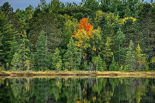 Remote Lake Fall Color - Fall Color 2025 With the Canon 1Ds Mark III