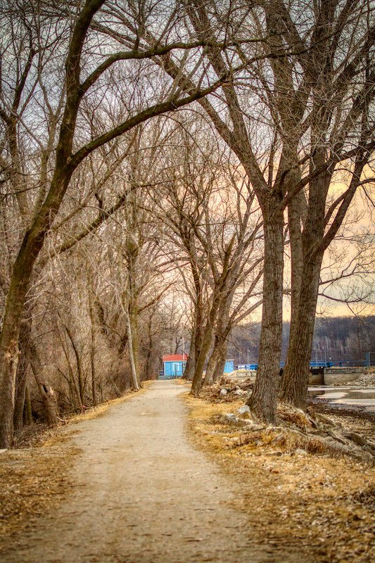 Canal Path - Spring Birds and Wildlife at the Kaukauna Canal